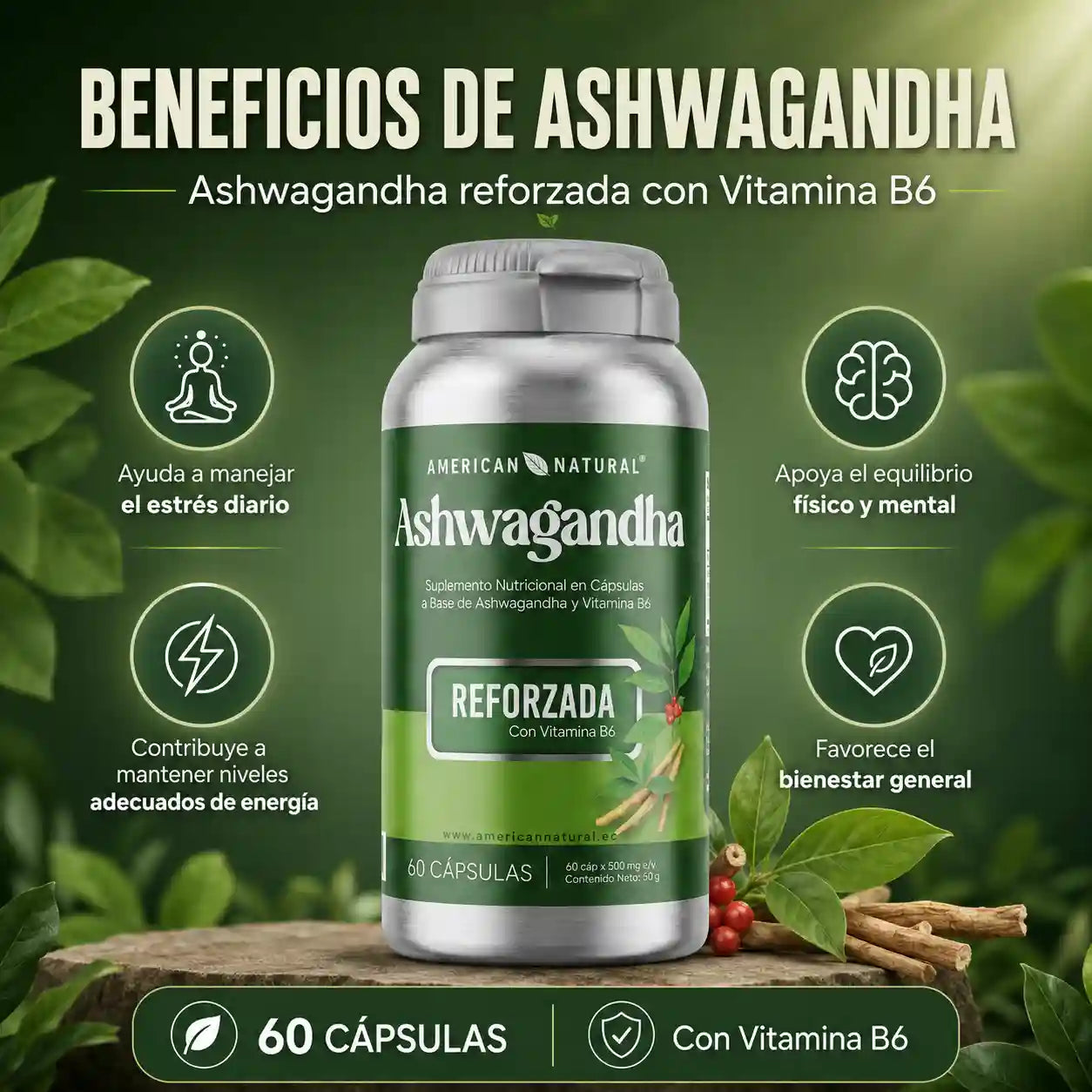 Ashwagandha + Vitamina B6