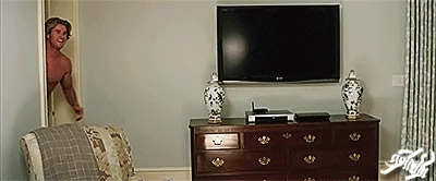 GIF Descriptivo